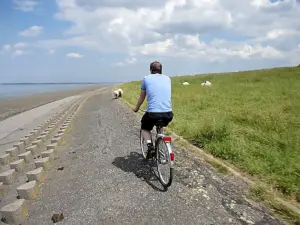 Radwege für Radtouren direkt an der Nordseeküste