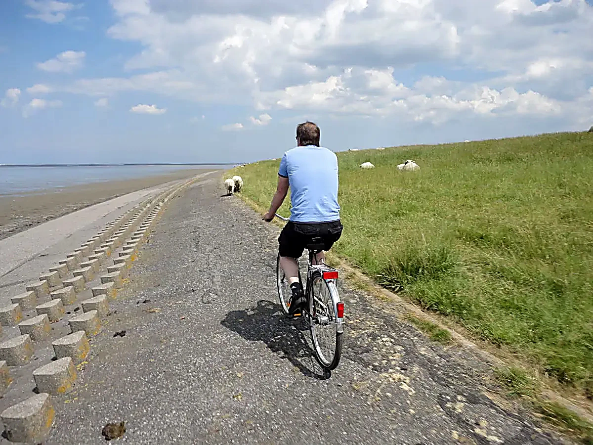 Radwege für Radtouren direkt an der Nordseeküste