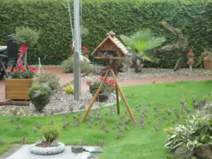 "FeWo Kruse" - Urlaub an der Nordsee - Garten